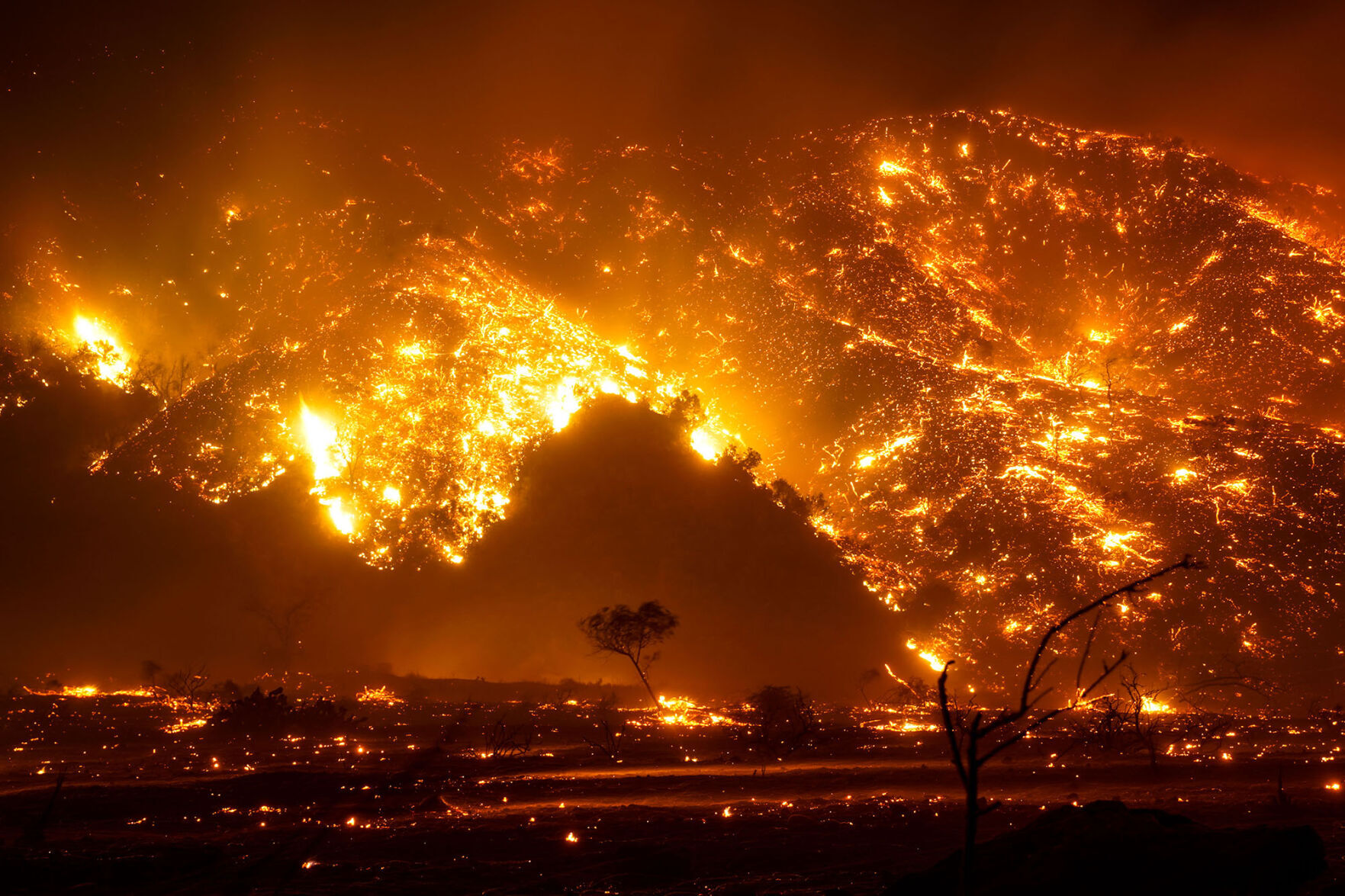 Bond Fire